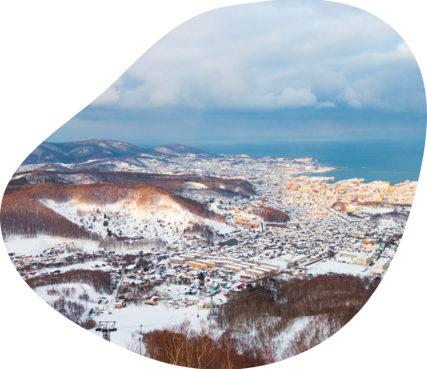 View from Mt.Tengu